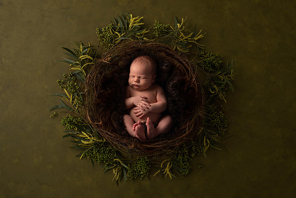 Baby in nest