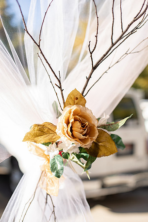 Bridgetwedding-81